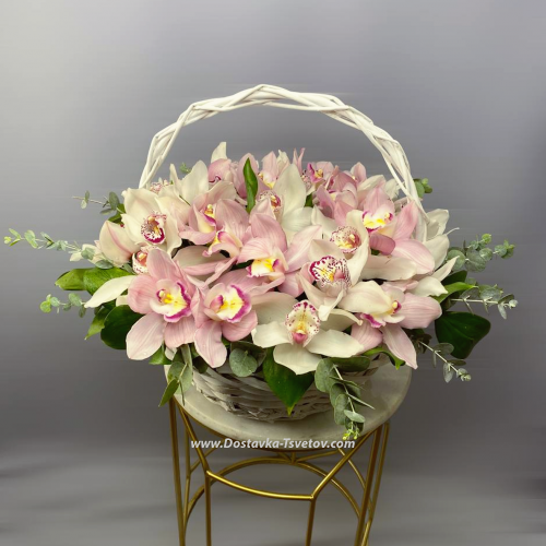 Basket of orchids "Bridal Veil"